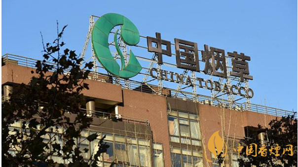 香煙漲價(jià)最新消息2020：香煙漲價(jià)真的能控?zé)焼?>
                                    <span>香煙漲價(jià)最新消息2020：香煙漲價(jià)真的能控?zé)焼?/span>
                                    <p>現(xiàn)在我國(guó)煙民的基數(shù)在不斷增大，而且有越來越多的青少年加入吸煙</p>
                                </a>
                            </li>
                                                                                </ul>
                    </div>

                </div>
            </div>
        </div>
    </div>

    
<link rel=