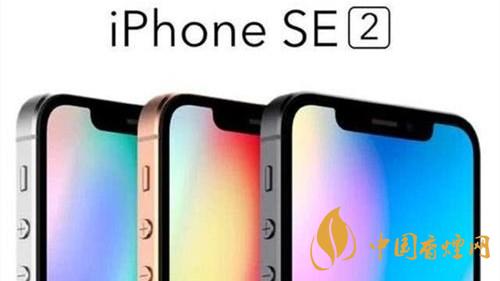 iphoneSE2参数配置-苹果iphoneSE2配置参数详情