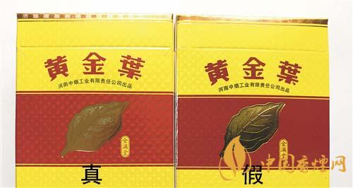如何辨別黃金葉金滿堂真假？2020黃金葉真假辨別詳情對(duì)比