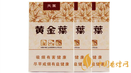 2020黃金葉天葉怎么樣？黃金葉大小天葉有什么不同