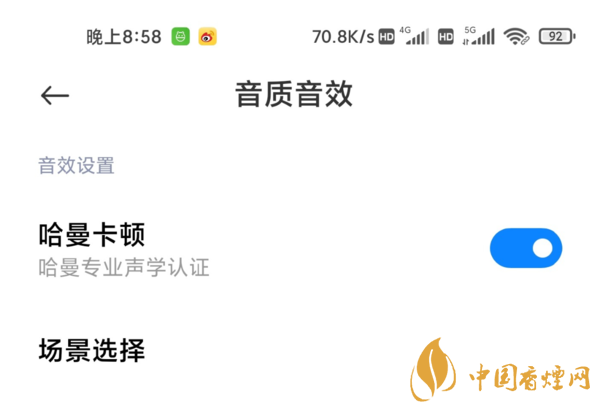 小米11音質(zhì)測評(píng) 小米11哈曼卡頓怎么開