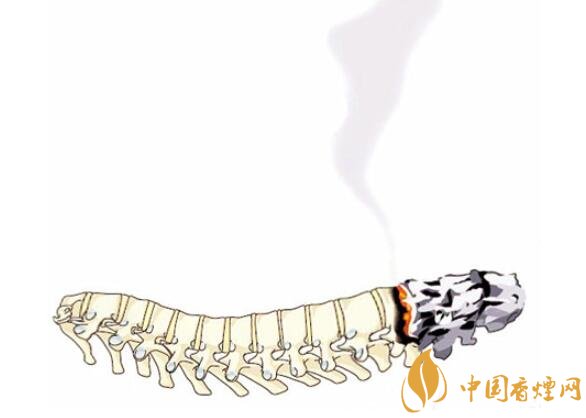 吸煙的危害:吸煙太多會損害腰椎