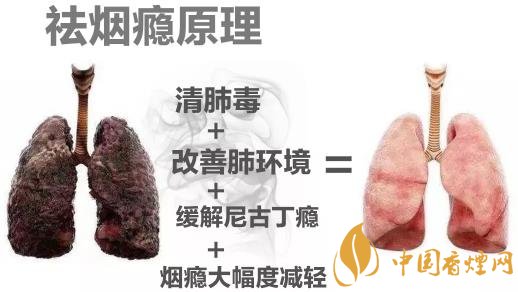 戒煙后關(guān)鍵在于清肺排毒 才能快速清肺里的煙毒！