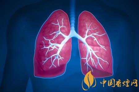 肺部不舒服其實(shí)是吸煙所致 想要清肺需先戒煙！