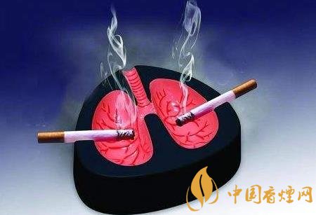 抽煙會引起肺癌嗎 吸煙是導(dǎo)致肺癌主要因素
