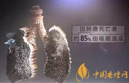 什么是煙肺 肺部變黑的癥狀和過(guò)程介紹